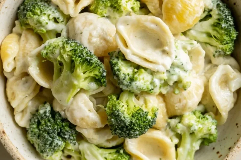 Delicious one pot broccoli pasta served in a bowl with fresh broccoli and parmesan cheese